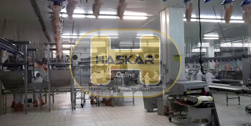 Kanatlı Hayvan Soğuk Hava Deposu