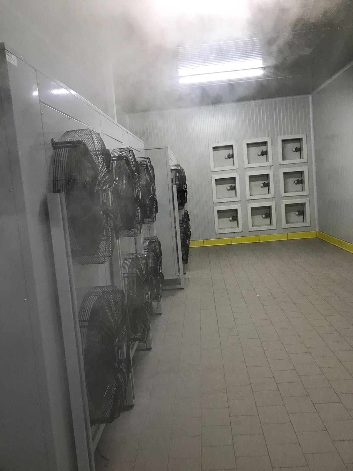 Şoklama Ve Donuk Deposu 2