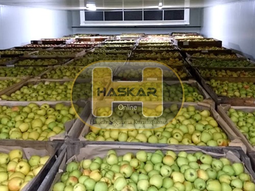 Elma Soğuk Hava Deposu