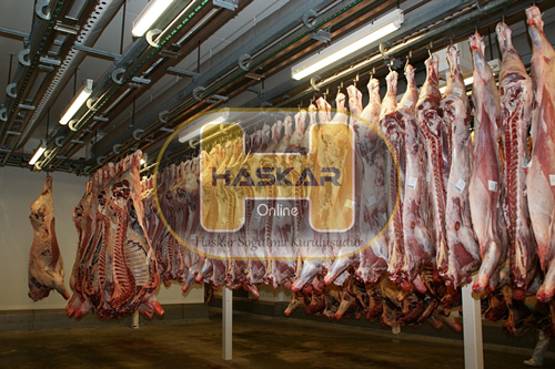 Kırmızı Et  Soğuk Hava Deposu