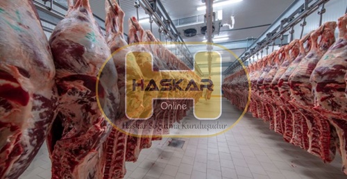 Kırmızı Et  Soğuk Hava Deposu 2 