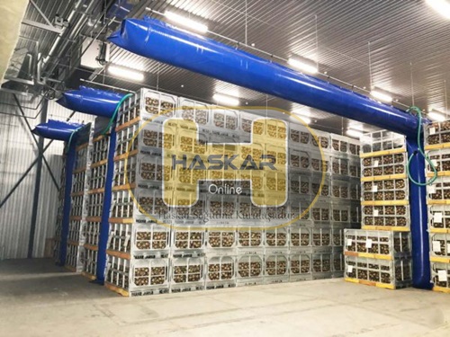 Patates  / Patato Soğuk Hava Deposu