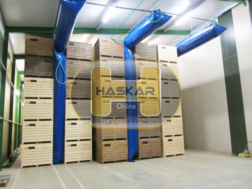 Patates  / Patato Soğuk Hava Deposu 2