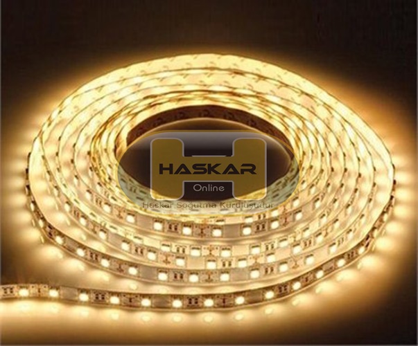 Üç Çipli İç Mekan Şerit Led Günışığı 5 Metre