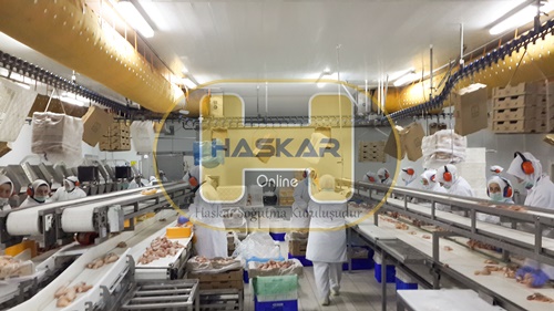 Kanatlı Hayvan Soğuk Hava Deposu 2